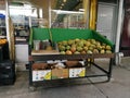 Fresh Green Coconuts and Other Fruits for Sale