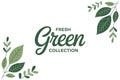 Fresh Green Collection with Leaf Decorations leaves Royalty Free Stock Photo