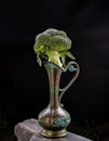 Fresh Green Color Broccoli on Antigue carved iron jug with dark background