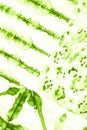 Fresh Green Color Ink Illustration. Nature Royalty Free Stock Photo