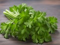 fresh green coriander leaves for cooking