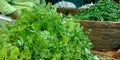 fresh green coriander leaves isolated at farmers market Royalty Free Stock Photo