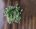 Fresh Green Coriander Leaves on a Wooden Surface