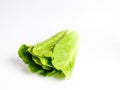 Fresh green cos lettuce leaf isolate on white Royalty Free Stock Photo