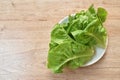 Fresh green cos lettuce vegetable salad with drop of water arranging on plate Royalty Free Stock Photo