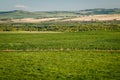 Fresh green countryside of Southern Alberta, province of Canada Royalty Free Stock Photo