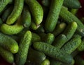 Fresh green cucumber - background