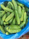 Fresh green cucumber collection outdoor on marke