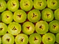 fresh green cucumber, cut with rings on a pink backgro und Royalty Free Stock Photo