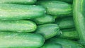 Fresh Green Cucumber Fruits on Indonesia Market Royalty Free Stock Photo