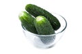 Fresh green cucumber in glass plate Royalty Free Stock Photo