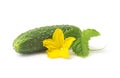 Fresh green cucumber with leaf and flower natural vegetables organic food isolated on white background Royalty Free Stock Photo