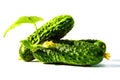 Fresh green cucumber with leaves and flowers on a white background. Royalty Free Stock Photo