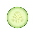 Fresh green cucumber slice isolated on white background. Royalty Free Stock Photo