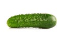 Fresh green Cucumber on white background Royalty Free Stock Photo