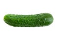 Fresh green cucumber on a white background. Royalty Free Stock Photo