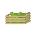 Fresh, green cucumber in wooden box for home storage