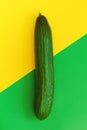 Fresh green cucumber on yellow green background top view