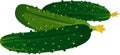 Red sweet pepper with title on white backgroundFresh green cucumbers on white background
