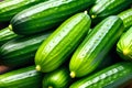 Fresh green cucumbers with water drops closeup. Organic healthy vegetables. Ingredient for salad Royalty Free Stock Photo