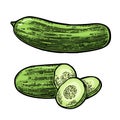 Fresh green cucumbers - whole, half, slices