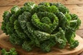 Fresh green curly kale leaves on wooden table.
