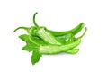 Fresh green cut chili pepper pieces on a white background Royalty Free Stock Photo