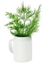 Fresh green dill bunch in small ceramic noggin