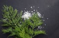 Fresh green dill and crystals of sea salt on black surface
