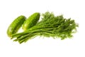 Fresh green dill and cucumber