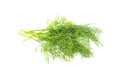 Fresh green dill leaves bunch, raw organic leaf, isolated on white background Royalty Free Stock Photo
