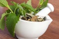 Fresh green and dried lemon balm in mortar, herbalism, alternative medicine