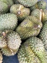 Fresh green Durian fruit texture background. Market in Thailand. Royalty Free Stock Photo