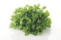 Fenugreek Leaves Royalty Free Stock Photo