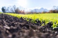 Fresh, green and fertile agricutlure plants, grass