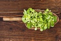 Fresh green field salad. Royalty Free Stock Photo