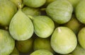 Fresh green figs detail