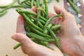 Fresh green french string beans