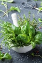 Fresh green garden herbs in mortar bowl for cooking. Thyme, rosemary, basil, and tarragon. Royalty Free Stock Photo