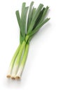 Fresh green garlic, chinese sichuan cuisine ingredients