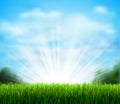 Fresh green glade with grass. Season background with blue sky, sunshine and white fluffy clouds. Royalty Free Stock Photo