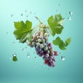 Fresh green grape cluster with green leaves, with water splash on blue background Royalty Free Stock Photo