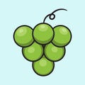 The Fresh Green Grape. Isolated Vector Illustration Royalty Free Stock Photo
