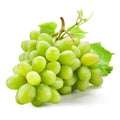 Fresh green grapes with leaves. Isolated on white Royalty Free Stock Photo