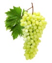 Fresh Green Grapes on the Vine with Leaf Isolated bunch of grapes fruit Royalty Free Stock Photo