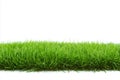 Fresh Green Grass Against a Bright White Background Representing Spring and Renewal Royalty Free Stock Photo