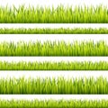 Fresh and green grass banner lines.