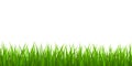 Fresh green grass border Royalty Free Stock Photo