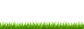 Fresh green grass border Royalty Free Stock Photo