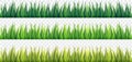 Fresh Green Grass Borders on White Isolated background,. Royalty Free Stock Photo